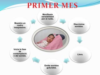 Manifiesta
sensibilidad
por el ruido.
Discrimina
sonidos.
Llora.
Emite sonidos
guturales.
Inicia la fase
de
contemplació
n del sonido.
Muestra un
rostro
inexpresivo.
 