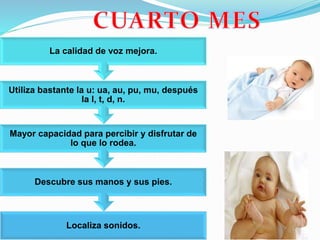Localiza sonidos.
Descubre sus manos y sus pies.
Mayor capacidad para percibir y disfrutar de
lo que lo rodea.
Utiliza bastante la u: ua, au, pu, mu, después
la l, t, d, n.
La calidad de voz mejora.
 