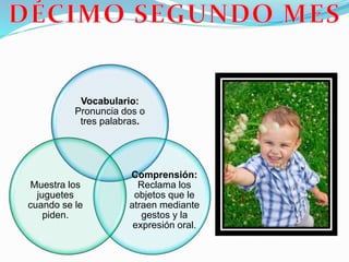Vocabulario:
Pronuncia dos o
tres palabras.
Comprensión:
Reclama los
objetos que le
atraen mediante
gestos y la
expresión oral.
Muestra los
juguetes
cuando se le
piden.
 