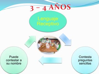 Lenguaje
Receptivo
Contesta
preguntas
sencillas
Puede
contestar a
su nombre
 