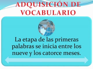 La etapa de las primeras
palabras se inicia entre los
nueve y los catorce meses.
 
