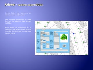 Cette fiche est obtenue en
sélectionnant un arbre public.
Ces données proviennent de notre
logiciel de gestion des arbres
(SIGMA).
Nous avons la localisation et la
description de 9 378 arbres situés à
l’intérieur des emprises de rues et de
certains parcs.	
  

	
  

 