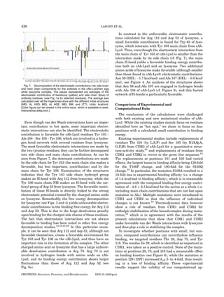 428                                                                     LAFONT ET AL.

                                                                                     In contrast to the unfavorable electrostatic contribu-
                                                                                  tions calculated for Arg 112 and Asp 52 of lysozyme, a
                                                                                  small favorable contribution is found for Trp 63 of lyso-
                                                                                  zyme, which interacts with Tyr 103 main chain from cAb-
                                                                                  Lys3. Thus, even though the electrostatic interaction from
                                                                                  the main chain of Tyr 103 of cAb-Lys3 is smaller than the
                                                                                  interaction made by its side chain (cf. Fig. 7), the main
                                                                                  chain H-bond yields a favorable binding energy contribu-
                                                                                  tion both on cAb-Lys3 and on lysozyme. Two additional
                                                                                  amino acids of lysozyme make favorable (although smaller
                                                                                  than those found in cAb-Lys3) electrostatic contributions:
                                                                                  Asn 59 (HEL: À1.7 kcal/mol) and Ala 107 (HEL: À0.6 kcal/
                                                                                  mol), see Figure 4. An analysis of the structures shows
   Fig. 7. Decomposition of the electrostatic contributions into side chain       that Asn 59 and Ala 107 are engaged in hydrogen bonds
and main chain components for the antibody in the cAb-Lys3/hen egg
white lysozyme complex. The values represented are averages of the
                                                                                  with Ala 104 of cAb-Lys3 (cf. Figure 9), and this buried
electrostatic contribution of backbone (yellow) and side chain (blue) of          network of H-bonds is particularly favorable.
antibody residues. (see Fig. 1a for selected residues). The average was
calculated over all the trajectories done with the different initial structures
(MEL AL HSD, MEL AL HSE, MEL BM, and JTT). Units: kcal/mol.                       Comparison of Experimental and
[Color figure can be viewed in the online issue, which is available at www.       Computational Data
interscience.wiley.com.]
                                                                                     The conclusions of the calculations were challenged
                                                                                  with both existing and new mutational studies of cAb-
   Even though van der Waals interactions have an impor-                          Lys3. While the existing studies mainly focus on residues
tant contribution to hot spots, some important electro-                           identified here as ‘‘hot spot,’’ we chose to focus on four
static interactions can also be identified. The electrostatic                     positions with a calculated small contribution to binding
contribution is favorable for cAb-Lys3 residues Tyr 103 -                         energy.
Ala 104 - Ser 105 - Tyr 106, which are involved in a hydro-                          Existing experimental studies include replacements of
gen bond network with several residues from lysozyme.                             residues Thr 101 (by L,S,P) and Ser 105 (by N,H,Q,A,
The most favorable electrostatic interactions are made by                         G,P,M) from CDR3 of cAb-Lys3 for a quantitative struc-
the two tyrosine residues; they can be further decomposed                         ture-activity study,53 and replacements of residues from
into side chain and main chain contributions. As can be                           CDR1 and CDR2 to revert to the germ line sequence.54
seen from Figure 7, the dominant contributions are made                           The replacements at positions 101 and 105 had varied
by the side chain for Tyr 103 (the main chain also makes a                        effects, the largest losses in binding affinity being 120-fold
favorable, but less important, contribution) and by the                           for the T100P change, and 100-fold for the S105Q
main chain for Tyr 106. Examination of the structures                             change.53 In particular, the mutation S105A resulted in a
indicates that the Tyr 103 side chain hydroxyl group                              10-fold loss in experimental binding affinity (i.e. a change
makes an H-bond with Arg 112 from lysozyme, while the                             of 1.4 kcal/mol in binding affinity), which is in reasonable
Tyr 106 main chain NH makes an H-bond with the car-                               agreement with the computed binding free energy contri-
boxyl group of Asp 52 from lysozyme. The favorable contri-                        bution of À4.8 Æ 2.3 kcal/mol for the serine as a whole (i.e.
bution of these H-bonds is directly linked to the strong                          including main chain contributions that are not lost upon
electrostatic potential created by the charged amino acids                        mutation to Ala). Multiple mutations were introduced in
on lysozyme. Remarkably, the free energy decomposition                            CDR1 and CDR2 so that the influence of individual
for lysozyme (see Figs. 3 and 4) yields unfavorable electro-                      changes is not known.54 Thermodynamic data however
static contributions to the binding free energy for Arg 112                       show a role of residues from CDR1 and CDR2 for
and Asp 52. This is due to the large desolvation penalty                          enthalpic stabilization of the bound complex during matu-
upon binding for the charged side chains of these residues.                       ration,54 which is in agreement with the results of the
The fact that electrostatic interactions are not always                           present calculations that show that CDR1 and CDR2
favorable to binding has been noted in other free energy                          make favorable van der Waals interactions with lysozyme
decomposition studies.13,19,21,58 In this particular exam-                        and thus play a role in stabilizing the complex.
ple, it can be seen that Arg 112 and Asp 52, although not                            To investigate whether positions with small, but non-
favorable themselves, create a favorable environment for                          zero, computed contributions can nevertheless influence
Tyr 103 and Tyr 106 on the cAb-Lys3, and thus have an                             binding, we targeted residues Thr 28, Asp 73, and Tyr
important role in the formation of the complex. The other                         118. The residue Ile 29, which is identified as important in
charged amino acid on lysozyme that has a large unfavor-                          CDR1, was taken as a positive control. None of the muta-
able desolvation contribution is Arg 73. Arg 73 is not                            tions at positions 28, 73, and 118 had a measurable effect
involved in hydrogen bonds with amino acids on cAb-                               on binding kinetics (see Figure 6), while the mutation at
Lys3, and its binding energy contribution shows larger                            position I29 (I29T) increased koff 3- to 4-fold, thus result-
fluctuations than those of Arg 112 and Asp 52 (see                                ing in a loss of binding affinity. These experimental
Fig. 3a).                                                                         results support the validity of our computational ap-

PROTEINS: Structure, Function, and Bioinformatics                 DOI 10.1002/prot
 