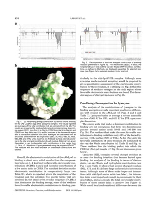 424                                                                  LAFONT ET AL.




                                                                                  Fig. 2. Decomposition of the total energetic contribution of antibody
                                                                               residues presented in Figure 1a. The electrostatic (ELEC in blue), the
                                                                               nonpolar (SAS in red) and the van der Waals (VDW in yellow) contribu-
                                                                               tions, as defined in Methods, are displayed separately for selected resi-
                                                                               dues (see Figure 1a for selected residue). Units: kcal/mol.


                                                                               ticularly in the cAb-Lys3/HEL complex. Although more
                                                                               extensive conformational sampling would be required to
                                                                               get a quantitative assessment of the electrostatic contri-
                                                                               bution for these residues, it is striking (cf. Fig. 2) that this
                                                                               sequence of residues emerges as the only region where
                                                                               favorable electrostatic contributions are found. This favor-
                                                                               able region of cAb-Lys3 is shown in Fig. 1b.


                                                                               Free Energy Decomposition for Lysozyme
                                                                                  The analysis of the contributions of lysozyme to the
                                                                               binding energetics reveals important qualitative differen-
                                                                               ces with respect to the cAb-Lys3 (cf. Figs. 3 and 4 and
                                                                               Table II). Lysozyme buries on average a solvent accessible
                                                                                               ˚                    ˚
                                                                               surface of 900 A2 for HEL and 822 A2 for TEL upon com-
   Fig. 1. (a) Net binding energy contribution by residue of the antibody      plex formation.
for the cAb-Lys3/hen egg white lysozyme complex. The values reported              The amino acids that make a dominant contribution to
are averages of the total contribution DG, as estimated from Eq. (3). The
                                                                               binding are not contiguous, but form two discontinuous
results are presented for residues belonging to complementary determin-
ing region (CDR1 from Pro 31 to Gly 35, CDR2 from Ala 50 to Gly 66, and        patches around amino acids 58-63 and 106-109 (see
CDR3 from Asp 99 to Asp 121) and for residues of the framework region          Fig. 3b). The residues that make the most favorable con-
with a contribution different from zero. Averages are calculated over all      tributions to binding contribute only 42% of the buried ly-
structures extracted from the trajectories (MEL AL HSD, MEL AL HSE,
MEL BM, and JTT). Units: kcal/mol. (b) Antibody surface colored accord-        sozyme (HEL) surface (50% of TEL). As for cAb-Lys3, the
ing to the total energetic contribution of each residue. Coloring from green   favorable interactions of these residues are dominated by
(favorable) to red (unfavorable) with contributions in the range from          the van der Waals contribution (cf. Table II and Fig. 4).
À7.74 to þ7.13 kcal/mol. Figure generated using the program GRASP.66
The residues with the most favorable or unfavorable contributions are
                                                                               These residues line the binding pocket into which the
labeled.                                                                       CDR3 of cAb-Lys3 inserts (cf. Fig. 3b and discussion given
                                                                               below).
                                                                                  Lysozyme (HEL) contains several charged residues at
   Overall, the electrostatic contribution of the cAb-Lys3 to                  or near the binding interface that become buried upon
binding is about zero, which results from the compensa-                        binding. An analysis of the binding in terms of electro-
tion between (þ4 kcal/mol) unfavorable electrostatic con-                      static, van der Waals, and hydrophobic contributions (see
tributions of CDR’s 1 and 2 and favorable contributions of                     Fig. 4 and Table II) shows that several charged residues
a few amino acids in CDR3. The standard deviation on the                       (D52, R73, and R112) have large unfavorable electrostatic
electrostatic contribution is comparatively large (see                         terms. Although some of them make important interac-
Table II), which is expected, given the magnitude of the                       tions with cAb-Lys3 amino acids (see later), the interac-
Coulomb and the solvation free energy terms that are                           tion term is not important enough to compensate for their
involved. In the small seven residue sequence of CDR 3                         desolvation, and as a result, the total electrostatic contri-
that dominates the binding energy, some of the residues                        bution of these amino acids is positive (see Figure 4).
have favorable electrostatic contributions to binding, par-                    While small local conformational differences between the

PROTEINS: Structure, Function, and Bioinformatics               DOI 10.1002/prot
 