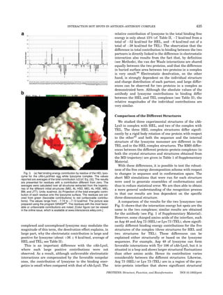 INTERACTION HOT SPOTS IN ANTIGEN–ANTIBODY COMPLEX                                                425

                                                                                 relative contribution of lysozyme to the total binding free
                                                                                 energy is only about 15% (cf. Table II, À7 kcal/mol from a
                                                                                 total of À52 kcal/mol for HEL, and À6 kcal/mol out of a
                                                                                 total of À38 kcal/mol for TEL). The observation that the
                                                                                 difference in total contribution to binding between the two
                                                                                 partners is directly linked to the difference in electrostatic
                                                                                 interaction also results from the fact that, by definition
                                                                                 (see Methods), the van der Waals interactions are shared
                                                                                 equally between the two proteins, and that the difference
                                                                                 in buried surface area between two proteins in a complex
                                                                                 is very small.68 Electrostatic desolvation, on the other
                                                                                 hand, is strongly dependent on the individual structure
                                                                                 and charge distribution of each partner, and large differ-
                                                                                 ences can be observed for two proteins in a complex as
                                                                                 demonstrated here. Although the absolute values of the
                                                                                 antibody and lysozyme contributions to binding differ
                                                                                 between the HEL and TEL complexes (see Table II), the
                                                                                 relative magnitudes of the individual contributions are
                                                                                 very similar.


                                                                                 Comparison of the Different Structures
                                                                                    We studied three experimental structures of the cAb-
                                                                                 Lys3 in complex with HEL, and two of the complex with
                                                                                 TEL. The three HEL complex structures differ signifi-
                                                                                 cantly by a rigid body rotation of one protein with respect
                                                                                 to the other42 and both the sequence and the internal
                                                                                 structure of the lysozyme monomer are different in the
                                                                                 TEL and in the HEL complex structures. The RMS differ-
                                                                                 ences between the different protein–protein complexes (in
                                                                                 both the crystal structures and structures obtained from
                                                                                 the MD trajectory) are given in Table 1 of Supplementary
                                                                                 Material.
                                                                                    With these differences, it is possible to test the robust-
                                                                                 ness of the free energy decomposition scheme with respect
   Fig. 3. (a) Net binding energy contribution by residue of the HEL lyso-       to changes in sequence and in conformation space. The
zyme for the cAb-Lys3/hen egg white lysozyme complex. The values
reported are averages of the total contribution DG [cf. Eq. (3)]. The results
                                                                                 short MD simulations that were run for each structure
are presented for residues with a contribution different from zero. The          were used to generate ensembles of conformations and
averages were calculated over all structures extracted from the trajecto-        thus to reduce statistical error. We are then able to obtain
ries of the different initial structures (MEL AL HSD, MEL AL HSE, MEL            a more general understanding of the recognition process
BM, and JTT). Units: kcal/mol. (b) Projection of the total energetic contri-
bution of each residue onto the lysozyme surface. The residues are col-          in that our results are less dependent on the specific
ored from green (favorable contributions) to red (unfavorable contribu-          three-dimensional structure.
tions). The values range from À7.74 to þ7.13 kcal/mol. The picture was              A comparison of the results for the two lysozymes (see
prepared using the program GRASP66. The residues with the most favor-
able or unfavorable contributions are noted. [Color figure can be viewed
                                                                                 Fig. 5) shows that the interaction energy hot spots are the
in the online issue, which is available at www.interscience.wiley.com.]          same in the two complexes; similar results are obtained
                                                                                 for the antibody (see Fig. 1 of Supplementary Material).
                                                                                 However, some charged amino acids of the interface, such
                                                                                 as Asp 48 and Arg 73 (HEL) or Lys 73 (TEL), show signifi-
complexed and uncomplexed lysozyme may modulate the                              cantly different binding energy contributions for the five
magnitude of this term, the desolvation effect explains, in                      structures of the complex (three structures for HEL and
large part, why the electrostatic contribution is large and                      two structures for TEL). These differences can be
positive for lysozyme (about þ36 Æ 6 kcal/mol, average of                        explained either structurally or based on the lysozyme
HEL and TEL; see Table II).                                                      sequences. For example, Asp 48 of lysozyme can form
  This is an important difference with the cAb-Lys3,                             favorable interactions with Tyr 106 of cAb-Lys3, but it is
where such large positive contributions were not                                 situated in a loop and shows larger structural fluctuations
observed. As a result, although unfavorable electrostatic                        than other amino acids. Hence its contribution varies
interactions are compensated by the favorable nonpolar                           considerably between the different structures. Likewise,
ones, the contribution of lysozyme to the binding ener-                          Arg 73 (HEL) or Lys 73 (TEL) are in a region of the pro-
getics is small when compared with that of cAb-Lys3. The                         tein–protein interface that shows significant structural

                                                                           PROTEINS: Structure, Function, and Bioinformatics   DOI 10.1002/prot
 