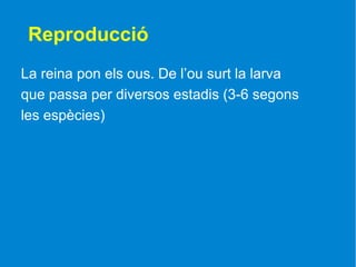 Reproducció
La reina pon els ous. De l’ou surt la larva
que passa per diversos estadis (3-6 segons
les espècies)
 