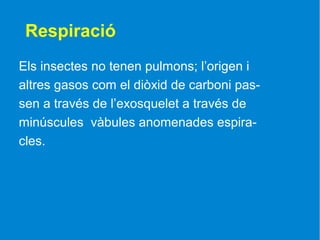 Respiració
Els insectes no tenen pulmons; l’origen i
altres gasos com el diòxid de carboni pas-
sen a través de l’exosquelet a través de
minúscules vàbules anomenades espira-
cles.
 