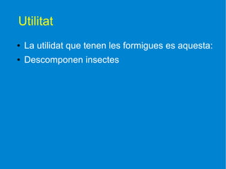 Utilitat
●   La utilidat que tenen les formigues es aquesta:
●   Descomponen insectes
 