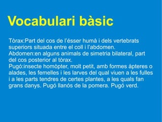 Vocabulari bàsic
Tòrax:Part del cos de l’ésser humà i dels vertebrats
superiors situada entre el coll i l’abdomen.
Abdomen:en alguns animals de simetria bilateral, part
del cos posterior al tòrax.
Pugó:insecte homòpter, molt petit, amb formes àpteres o
alades, les femelles i les larves del qual viuen a les fulles
i a les parts tendres de certes plantes, a les quals fan
grans danys. Pugó llanós de la pomera. Pugó verd.
 