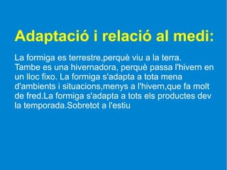 Adaptació i relació al medi:
La formiga es terrestre,perquè viu a la terra.
Tambe es una hivernadora, perquè passa l'hivern en
un lloc fixo. La formiga s'adapta a tota mena
d'ambients i situacions,menys a l'hivern,que fa molt
de fred.La formiga s'adapta a tots els productes dev
la temporada.Sobretot a l'estiu
 