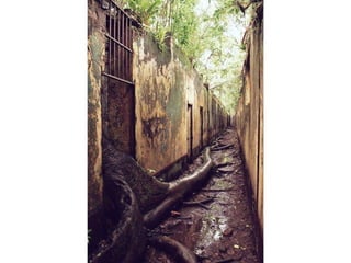 La force de_la_nature