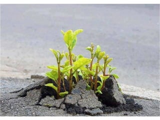 La force de_la_nature