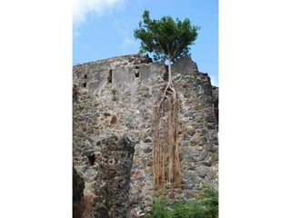 La force de la nature