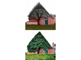 La force de la nature