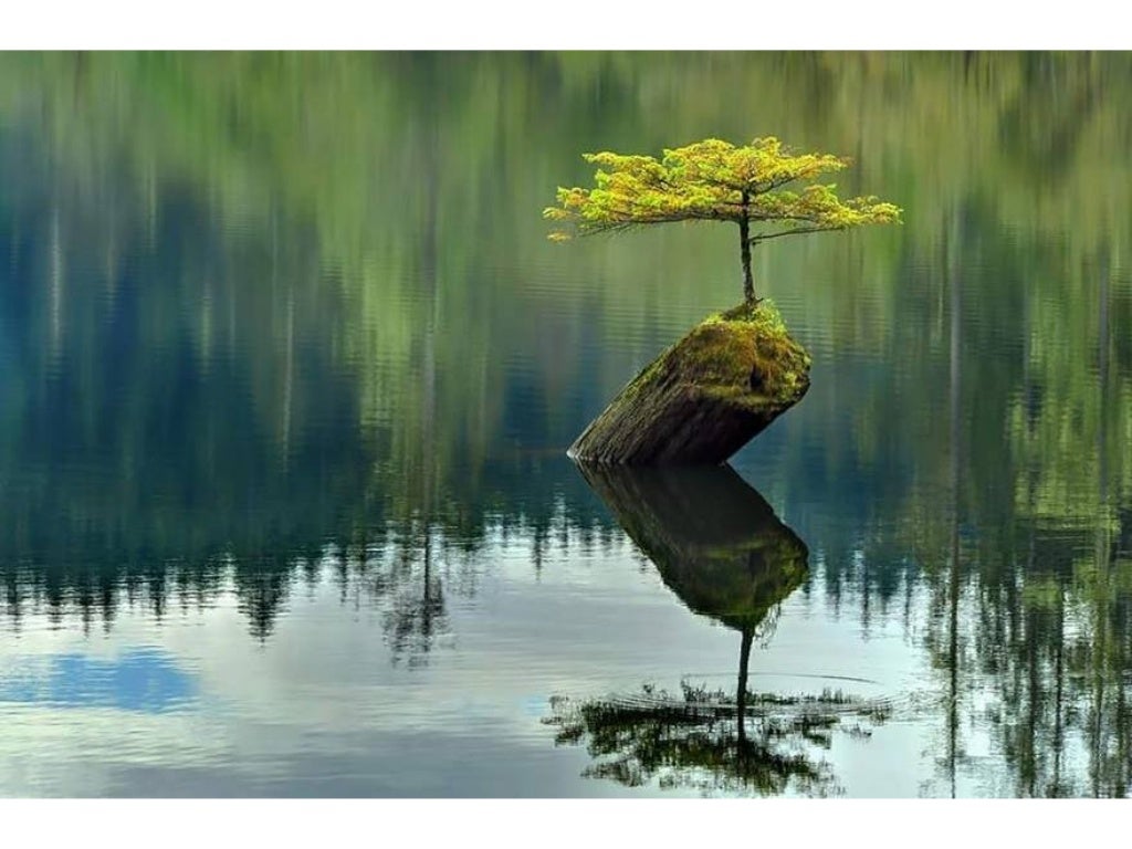 La force de la nature