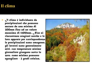    Il clima è individuato da
    precipitazioni che possono
    mutare da una minima di
    300mm fino ad un valore
    massimo di 1200mm. Non si
    riscontrano stagioni secche e le
    loro opposte per corrispondenza:
    le precipitazioni sono omogenee.
    gli inverni sono generalmente
    miti, con temperature minime
    giornaliere giungono sotto lo
    zero, come minimo possono
    eguagliare - 2 gradi celsius.
 