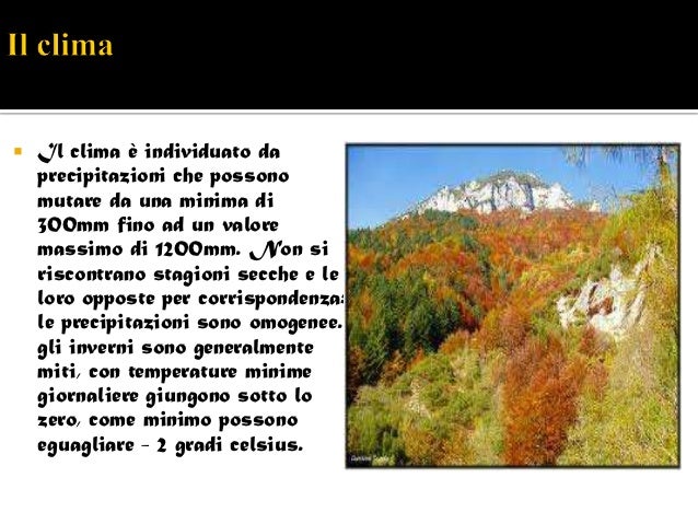 Dove Si Trova La Foresta Temperata La foresta temperata