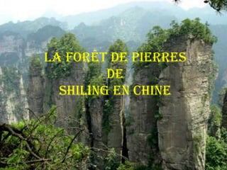 La forêt de pierres
de
Shiling en Chine
 