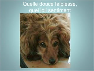 Quelle douce faiblesse,
quel joli sentiment
 