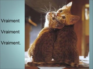 Vraiment
Vraiment
Vraiment.
 