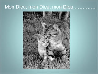 Mon Dieu, mon Dieu, mon Dieu ………….
 