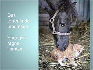 Des
torrents de
tendresse
Pour que
règne
l’amour
 