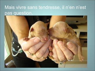 Mais vivre sans tendresse, il n’en n’est
pas question.
 
