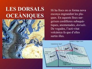 LES DORSALS
OCEÀNIQUES
Hi ha llocs on es forma nova
escorça engrandint les pla-
ques. En aquests llocs sur-
geixen cordilleres subaquà-
tiques, anomenades, dorsals.
De vegades, l’acti-vitat
volcànica fa que d’elles
surtin illes.
 