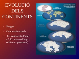 EVOLUCIÓ
DELS
CONTINENTS
- Pangea
- Continents actuals
- Els continents d’aquí
a 250 milions d’anys
(diferents propostes)
 