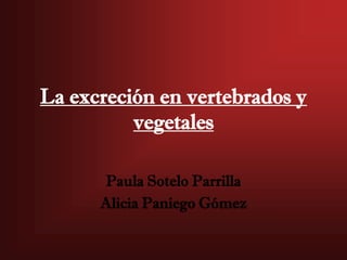 La excreción en vertebrados y
          vegetales

      Paula Sotelo Parrilla
      Alicia Paniego Gómez
 