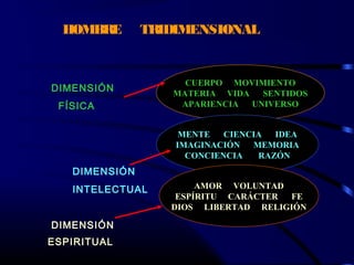 HOMBRE TRIDIMENSIONAL
DIMENSIÓN
FÍSICA
DIMENSIÓN
INTELECTUAL
DIMENSIÓN
ESPIRITUAL
CUERPO MOVIMIENTO
MATERIA VIDA SENTIDOS
APARIENCIA UNIVERSO
MENTE CIENCIA IDEA
IMAGINACIÓN MEMORIA
CONCIENCIA RAZÓN
AMOR VOLUNTAD
ESPÍRITU CARÁCTER FE
DIOS LIBERTAD RELIGIÓN
 