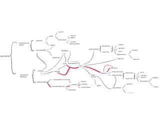 La Forma Del Pensiero Liquido