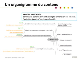 Sarah Clerquin – Montpellier SupAgro - 2014
Un organigramme du contenu
MODE DE NAVIGATION :
Non linéaire dans les différen...