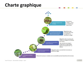 Sarah Clerquin – Montpellier SupAgro - 2014
Charte graphique
 