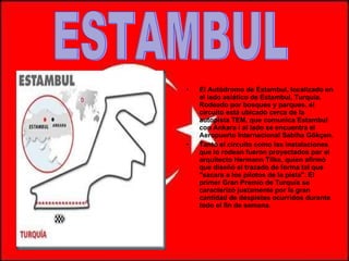 El Autódromo de Estambul, localizado en el lado asiático de Estambul, Turquía. Rodeado por bosques y parques, el circuito está ubicado cerca de la autopista TEM, que comunica Estambul con Ankara i al lado se encuentra el Aeropuerto Internacional Sabiha Gökçen. Tanto el circuito como las instalaciones que lo rodean fueron proyectados por el arquitecto Hermann Tilke, quien afirmó que diseñó el trazado de forma tal que "sacara a los pilotos de la pista". El primer Gran Premio de Turquía se caracterizó justamente por la gran cantidad de despistes ocurridos durante todo el fin de semana. ESTAMBUL 