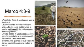 Marco 4:3-9
«Ascoltate! Ecco, il seminatore uscí a
seminare.
Or avvenne che mentre seminava,
una parte del seme cadde lungo la
strada e gli uccelli del cielo vennero
e la mangiarono.
Un'altra cadde in luoghi rocciosi dove
non c'era molta terra e subito spuntò,
perché non c'era un terreno
profondo. Ma quando si levò il sole fu
riarsa; e poiché non aveva radice si
seccò.
 
