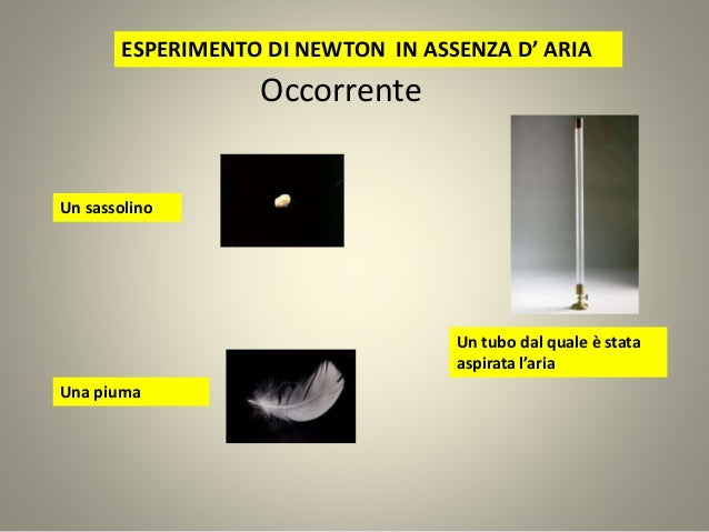 La forza di gravità e la caduta dei gravi di Luigi Maglione