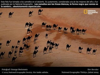 Esta foto fue tomada a los camellos en el desierto. Es justamente, considerada una de las mejores del año y fue publicada por la National Geographic.   Los camellos son las líneas blancas, la forma negra que vemos es la sombra... absolutamente espectacular.   