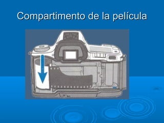 Compartimento de la película

 