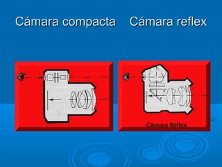 Cámara compacta

Cámara reflex

 