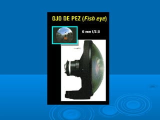 La fotografa