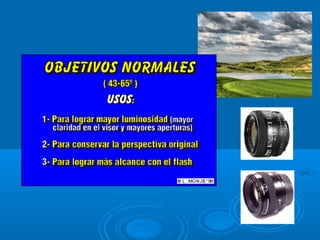 La fotografa