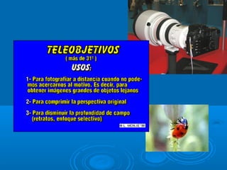 La fotografa