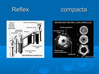 Reflex

compacta

 