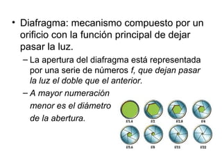 • Diafragma: mecanismo compuesto por un
orificio con la función principal de dejar
pasar la luz.
– La apertura del diafragma está representada
por una serie de números f, que dejan pasar
la luz el doble que el anterior.
– A mayor numeración
menor es el diámetro
de la abertura.

 