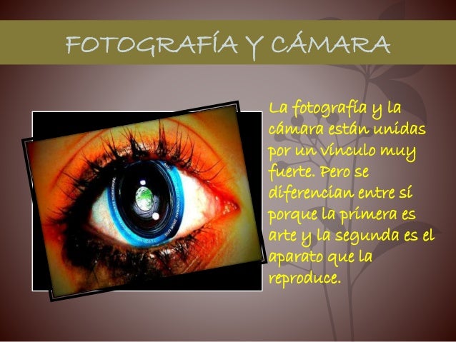 Forex que es fotografia