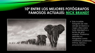 10º ENTRE LOS MEJORES FOTÓGRAFOS
FAMOSOS ACTUALES: NICK BRANDT
 Este increíble
fotógrafo de vida
salvaje en blanco y
negro utiliza sobre
todo teleobjetivo y
lentes de gran
angular. Podríamos
describir sus
fotografías como:
misteriosas, poderosas,
íntimas, épicas y
emocionantes.
 
