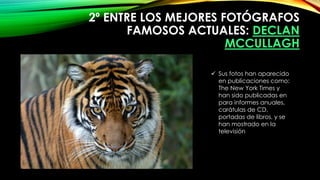 2º ENTRE LOS MEJORES FOTÓGRAFOS
FAMOSOS ACTUALES: DECLAN
MCCULLAGH
 Sus fotos han aparecido
en publicaciones como:
The New York Times y
han sido publicadas en
para informes anuales,
carátulas de CD,
portadas de libros, y se
han mostrado en la
televisión
 