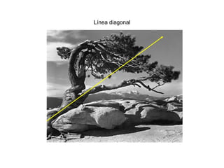 Línea diagonal
 