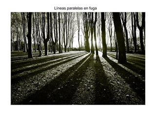 Líneas paralelas en fuga
 